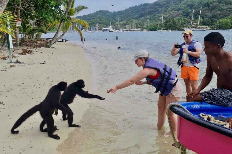 billede nr.14 af aktiviteten Fra Panama City: Caribisk øhop og Portobelo Fort i Portobelo, uploadet af udbyder