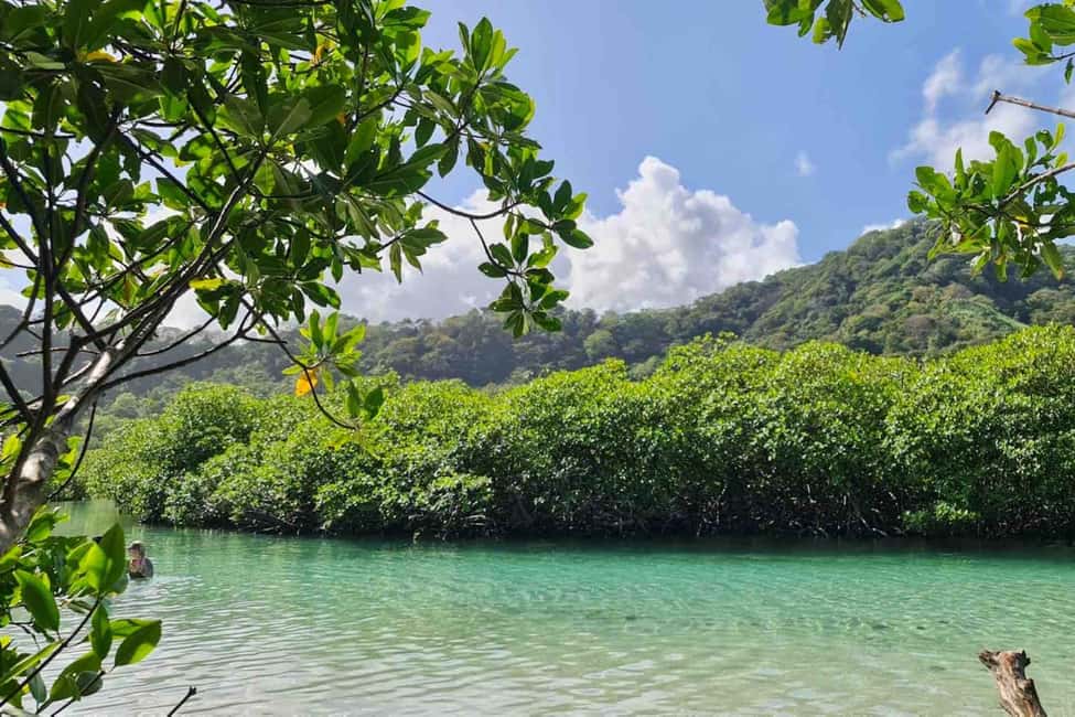 billede nr.17 af aktiviteten Fra Panama City: Caribisk øhop og Portobelo Fort i Portobelo, uploadet af udbyder