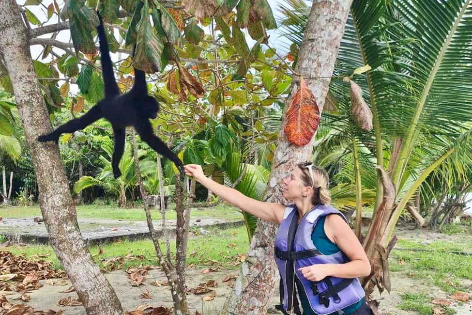 billede nr.25 af aktiviteten Fra Panama City: Caribisk øhop og Portobelo Fort i Portobelo, uploadet af udbyder