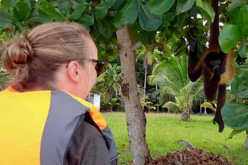 billede nr.33 af aktiviteten Fra Panama City: Caribisk øhop og Portobelo Fort i Portobelo, uploadet af udbyder