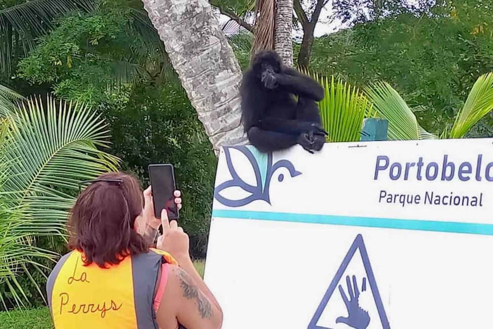 billede nr.35 af aktiviteten Fra Panama City: Caribisk øhop og Portobelo Fort i Portobelo, uploadet af udbyder