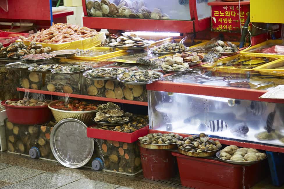 image n.16 of From Seoul: 5-Day Tour of Korea with UNESCO Sites activity in Seoul, uploaded by supplier