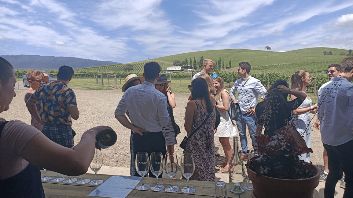 image n.7 of Melbourne: Yarra Valley Wine, Gin, Whisky and Chocolate Tour activity in Melbourne, uploaded by supplier