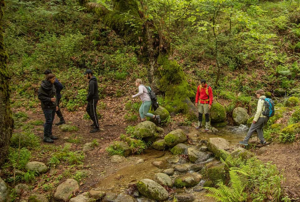 image n.25 of Kalabaka: Meteora Small-Group Hiking Tour w/ Monastery Visit activity in Thessaly, uploaded by supplier