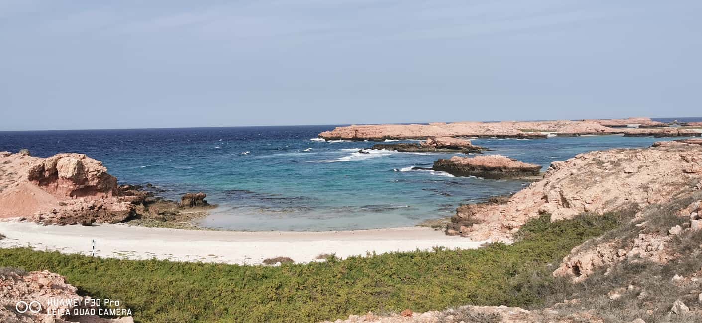 Immagine nº 7 di Isola di Daymaniyat: tour di snorkeling con pranzo gustoso attività a Seeb, caricata dal fornitore