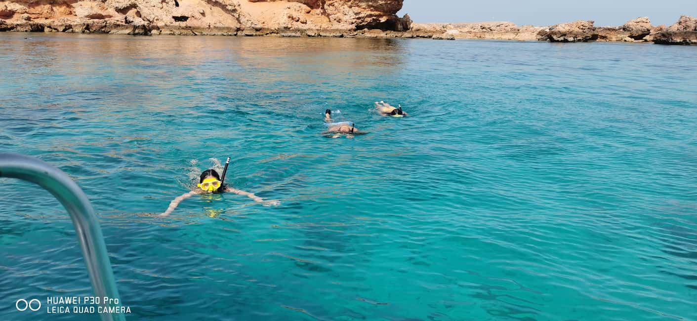 Immagine nº 14 di Isola di Daymaniyat: tour di snorkeling con pranzo gustoso attività a Seeb, caricata dal fornitore
