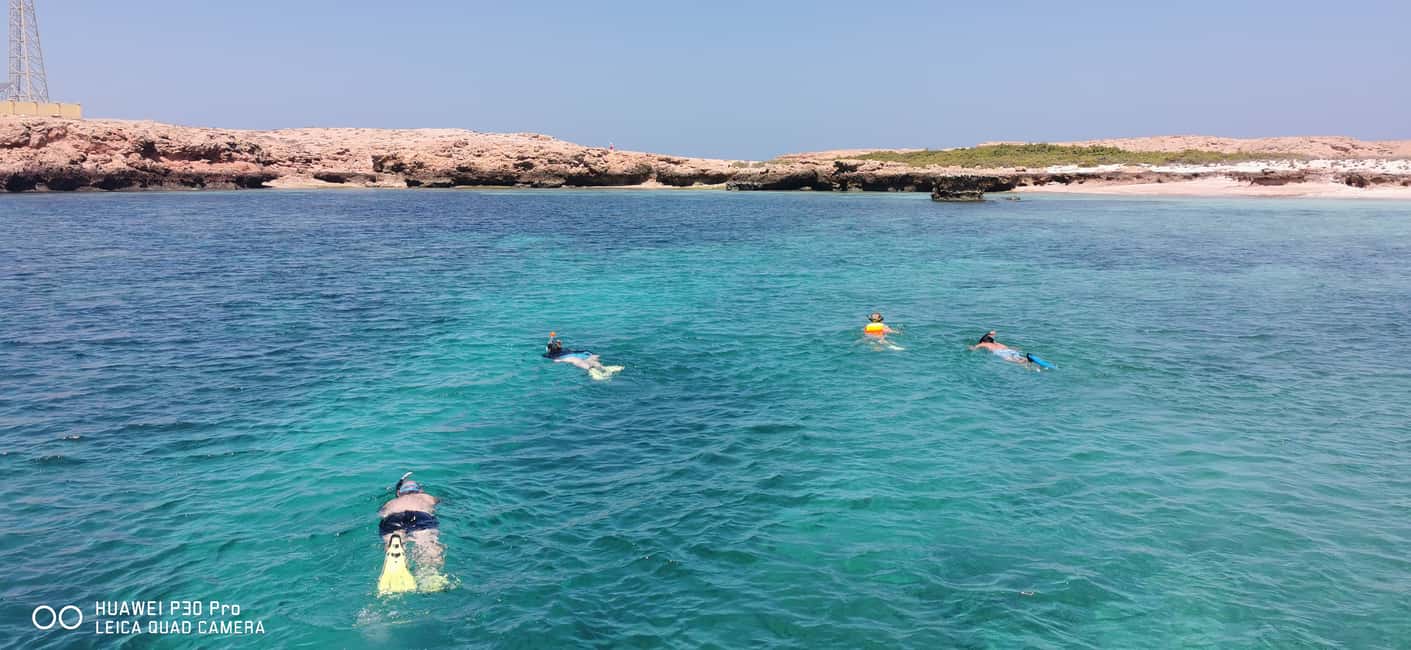Immagine nº 12 di Isola di Daymaniyat: tour di snorkeling con pranzo gustoso attività a Seeb, caricata dal fornitore