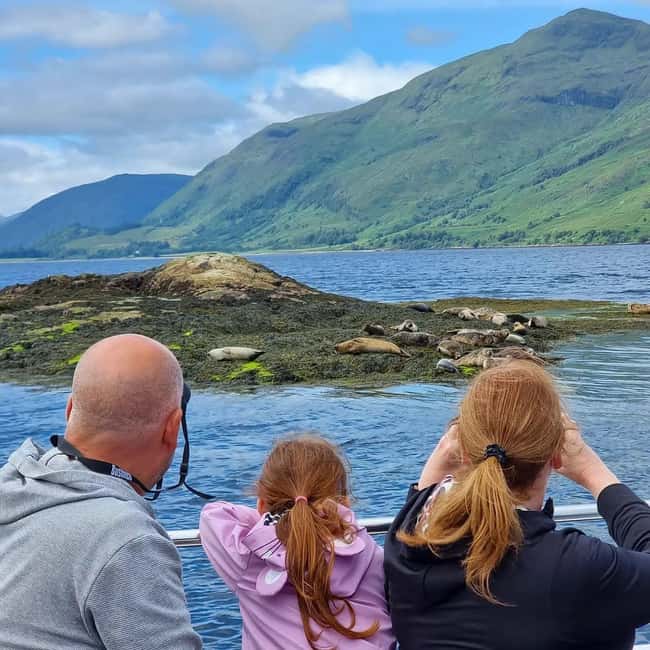 billede nr.12 af aktiviteten Fort William: Sejlads på Loch Linnhe for at se sæler i Det skotske højland, uploadet af udbyder