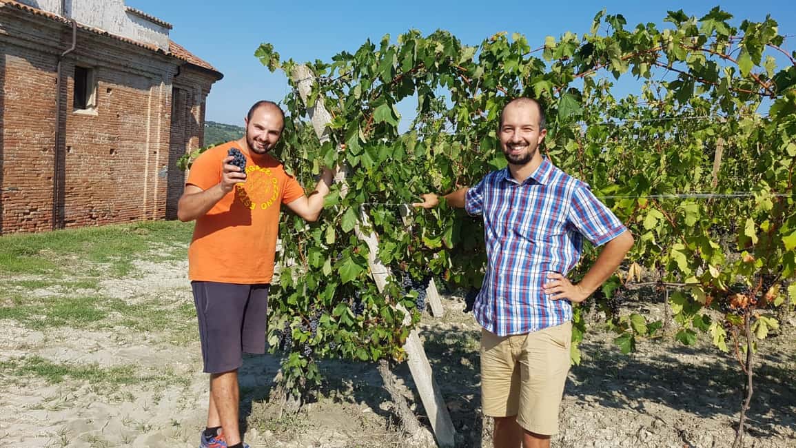 billede nr.4 af aktiviteten Afsmagning af vin fra Monferrato med besøg i kantinen i Alessandria, uploadet af udbyder