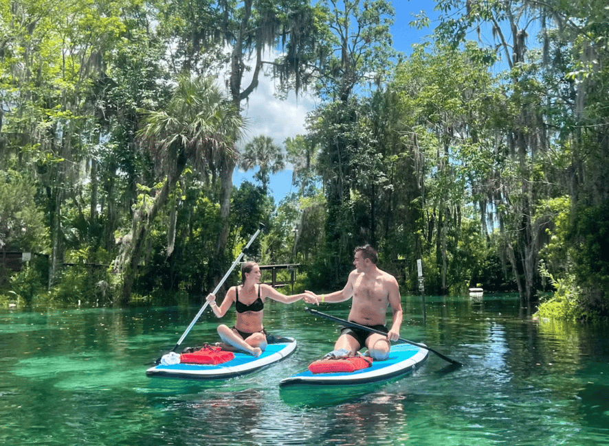 image n.2 of Crystal River: Paddle Board Rental activity in Crystal River, uploaded by supplier