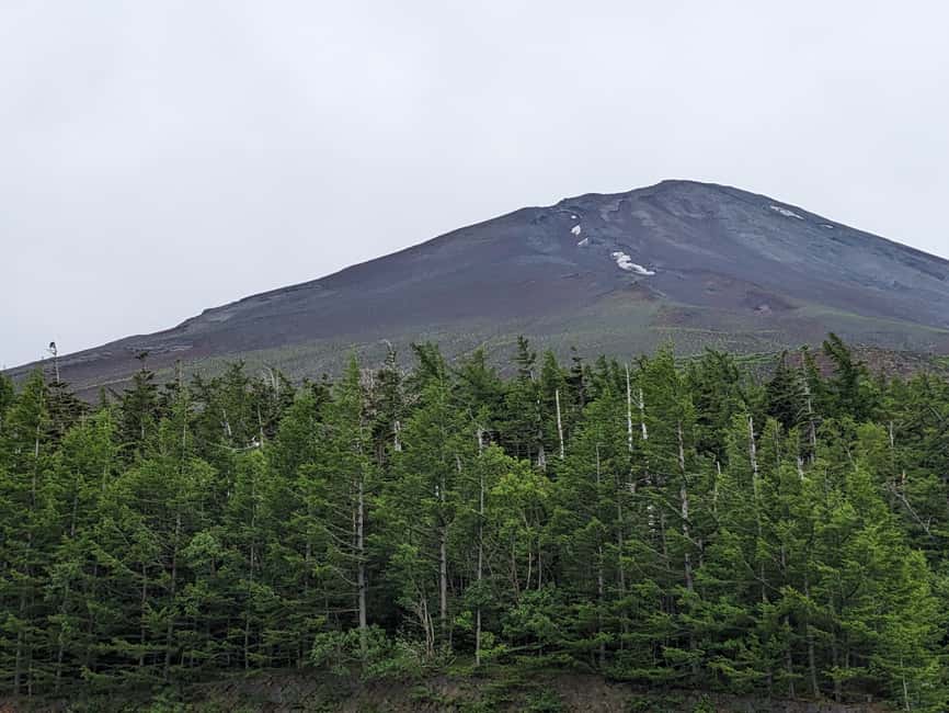 image n.9 of From Tokyo: Mt. Fuji & Hakone Tour w/ Return by Bullet Train activity in Hakone, uploaded by supplier