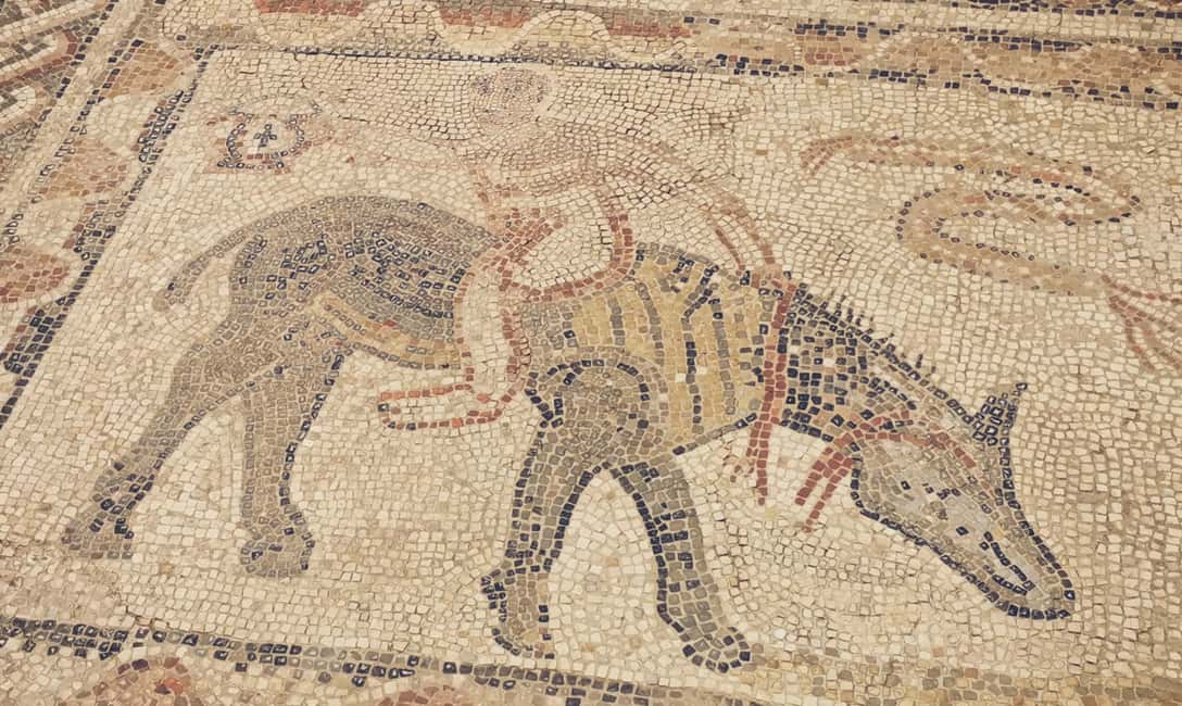billede nr.4 af aktiviteten Dagstur fra Fes til Volubilis via Meknes og Moulay Idriss i Meknès, uploadet af udbyder