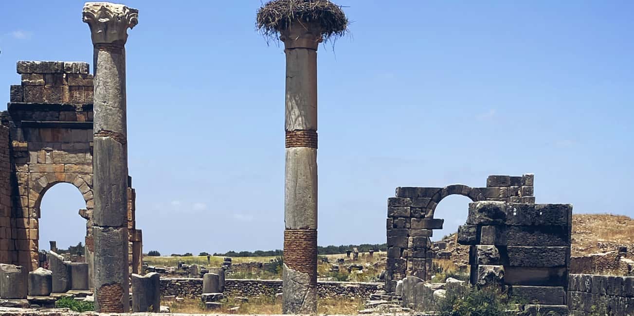 billede nr.6 af aktiviteten Dagstur fra Fes til Volubilis via Meknes og Moulay Idriss i Meknès, uploadet af udbyder
