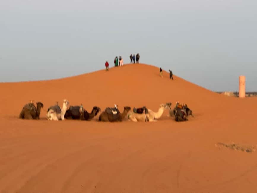 image n.17 of Marrakech Desert Tours 3 Days with Camel Trek and Camping activity in Kalaat M'Gouna, uploaded by supplier