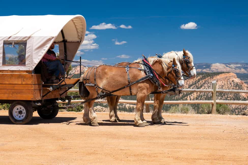 image n.5 of Bryce Canyon City: Wagon Ride to the Rim of Bryce Canyon activity in Utah, uploaded by supplier