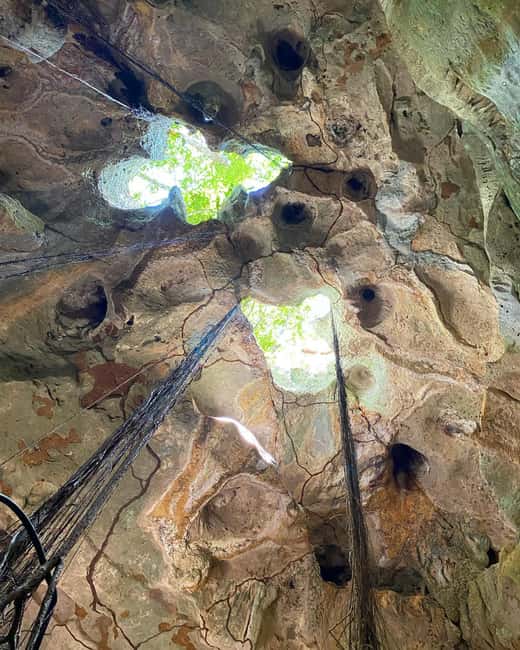imagem n.4 de Excursão e transporte para as cavernas Green Grotto atividade em Clarendon, carregada pelo fornecedor