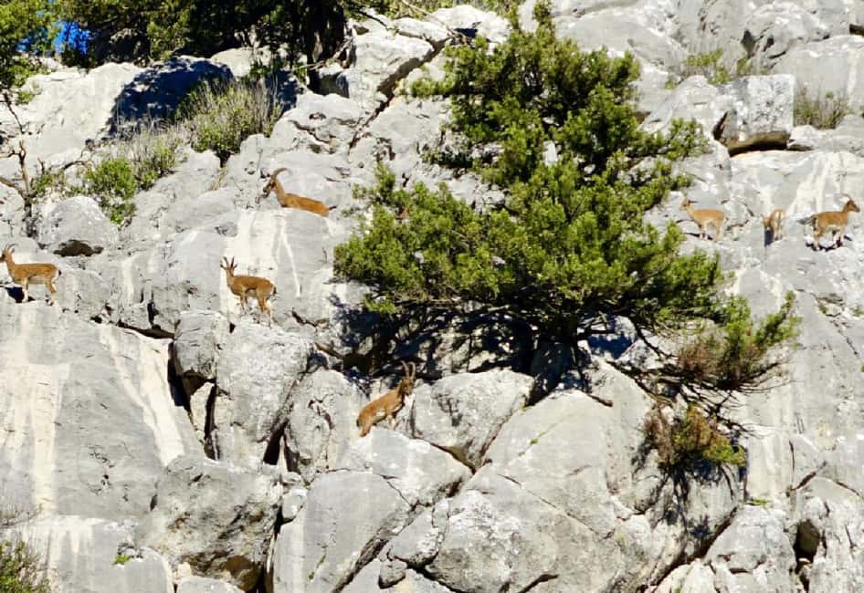 image n.13 of Antalya: Hiking in Termessos Ancient City activity in Antalya, uploaded by supplier