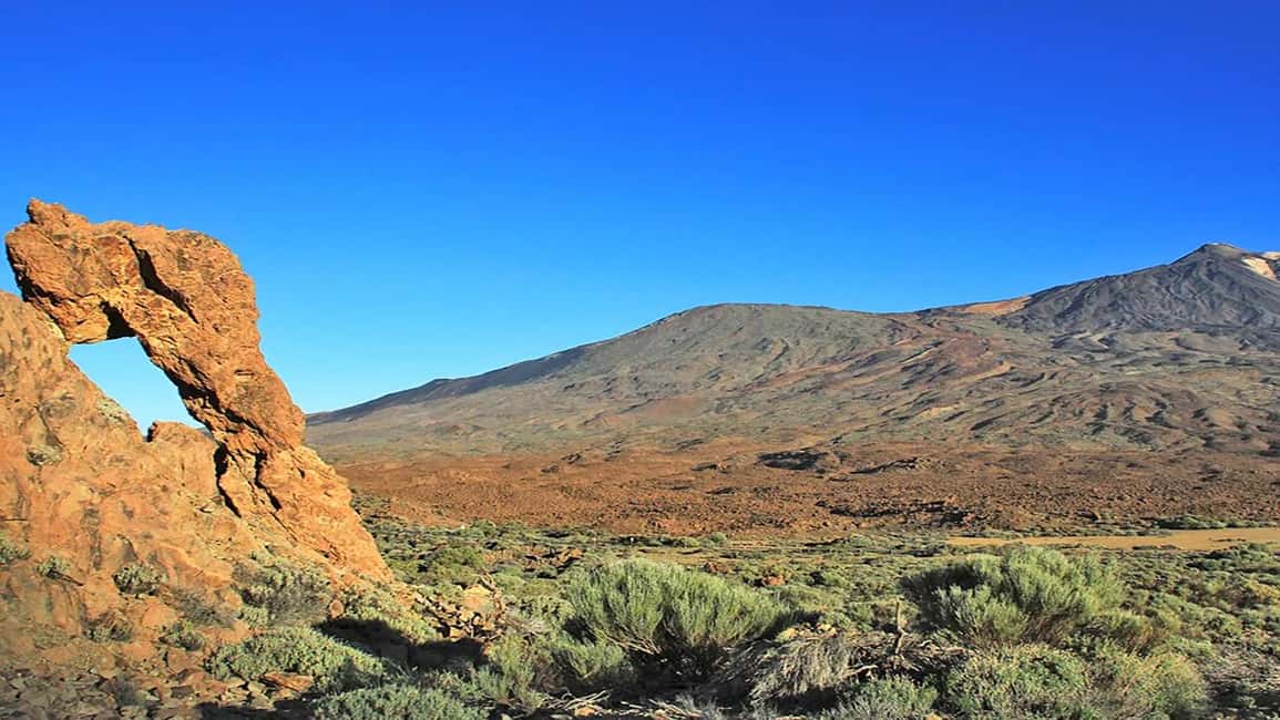 billede nr.8 af aktiviteten Fra det sydlige Tenerife: Halvdagstur til Teide-bjerget i Kanarieøerne, uploadet af udbyder