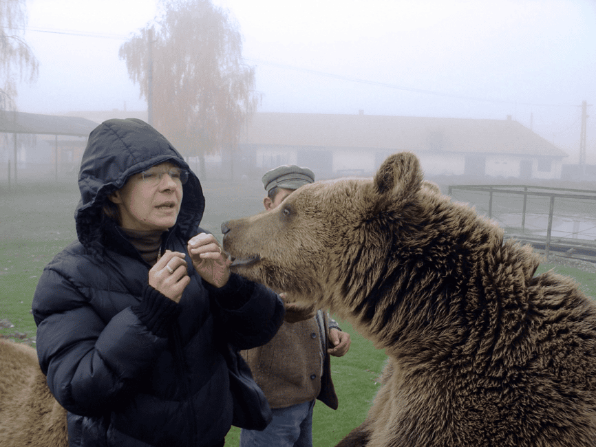 Bild Nr. 1 von Brasov: Bärenschutzgebiet Libearty Aktivität in Brasov, hochgeladen vom Anbieter
