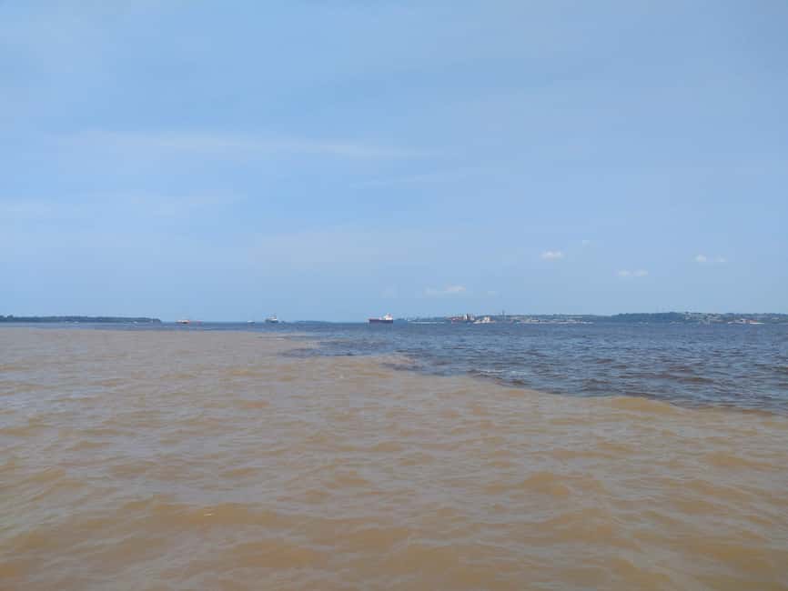 imagen n.º 4 de Safari Amazonas® Manaus: Excursión de un día por el río Amazonas actividad en Manaos, subida por el proveedor