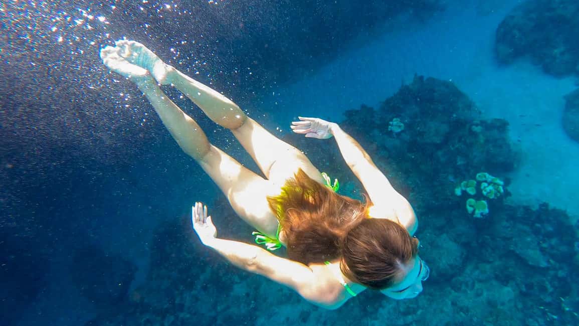 afbeelding n.7 van Curaçao: Turtle Bay & Blue Room Rondvaart met snorkelen activiteit in Curaçao, geüpload door aanbieder