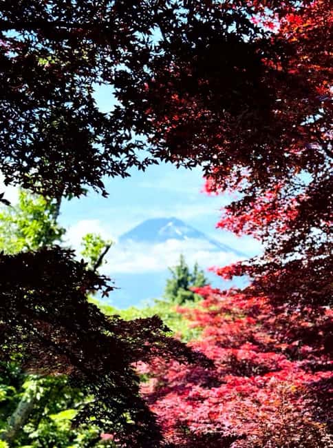 image n.25 of From Tokyo: Mount Fuji Full Day Private Tour English Guide activity in Fujikawaguchiko, uploaded by supplier