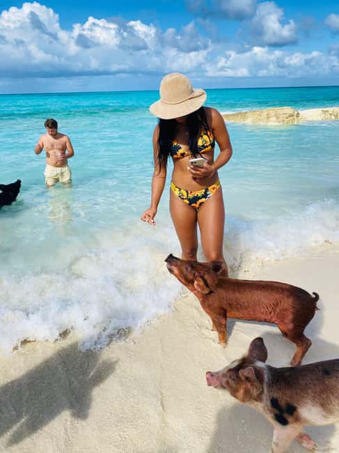 image n.41 of Nassau: 3 Islands Tour, Snorkel, Pig Beach, Turtles & Lunch activity in Berry Islands, uploaded by supplier
