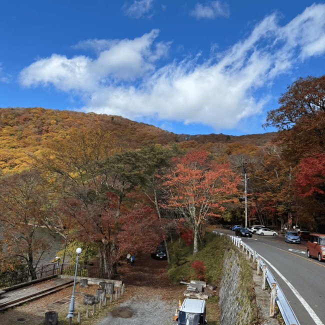 Immagine nº 25 di Tokyo: Tour privato imperdibile di Nikko, patrimonio dell'umanità dell'Unesco attività a Nikkō, caricata dal fornitore