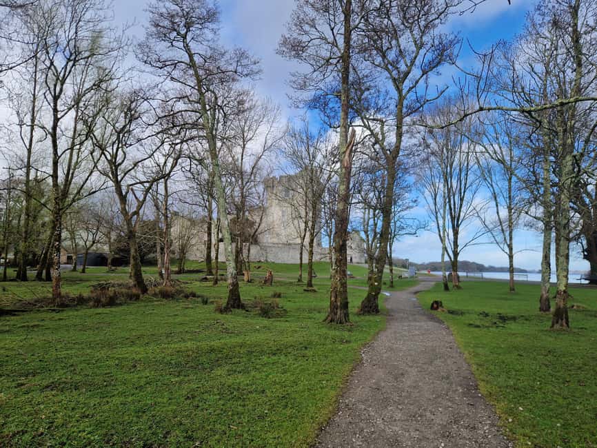 Obraz nr 29 z atrakcji Killarney: Rejs wycieczkowy na wyspę Innisfallen, jeziora Killarney w Munster, przesłany przez organizatora