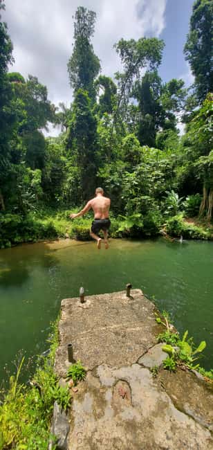 billede nr.1 af aktiviteten Fra San Juan: El Yunque regnskov og Luquillo strandtur i Río Grande, Puerto Rico, uploadet af udbyder