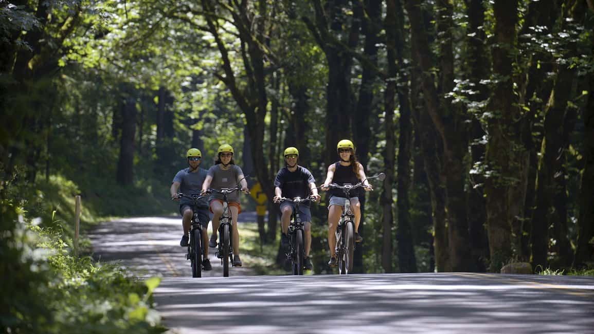 Portland: Multnomah Falls E-Bike Tour in the Columbia Gorge