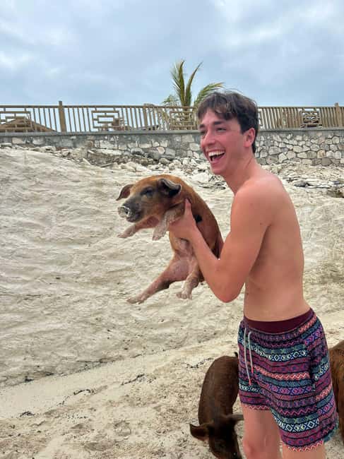 image n.58 of Nassau: 3 Islands Tour, Snorkel, Pig Beach, Turtles & Lunch activity in Berry Islands, uploaded by supplier