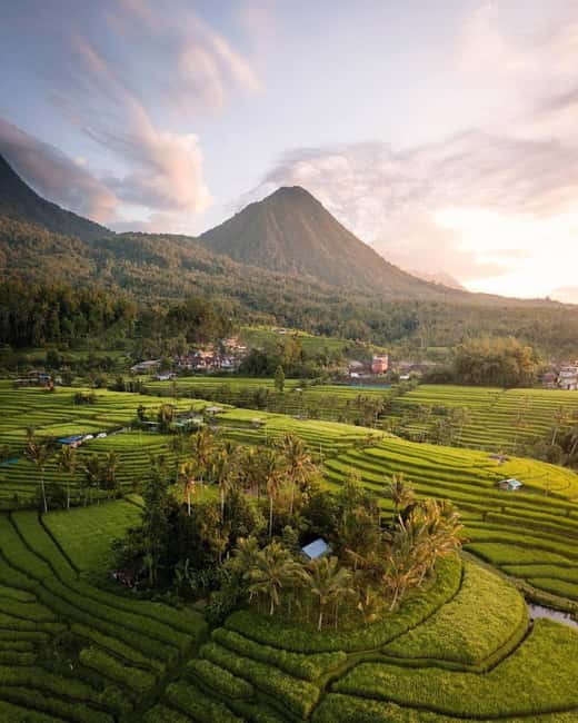image n.11 of North Bali: Sekumpul and Banyumala Waterfalls & Rice Terrace activity in Bali, uploaded by supplier