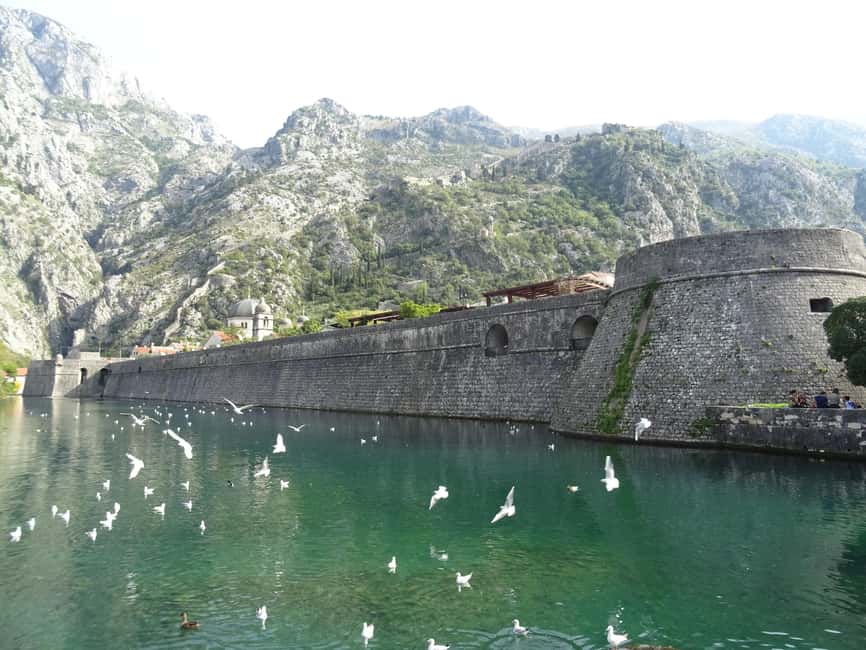 image n.13 of From Podgorica: NP Skadar lake, St. Stefan & Kotor day trip activity in Podgorica Municipality, uploaded by supplier