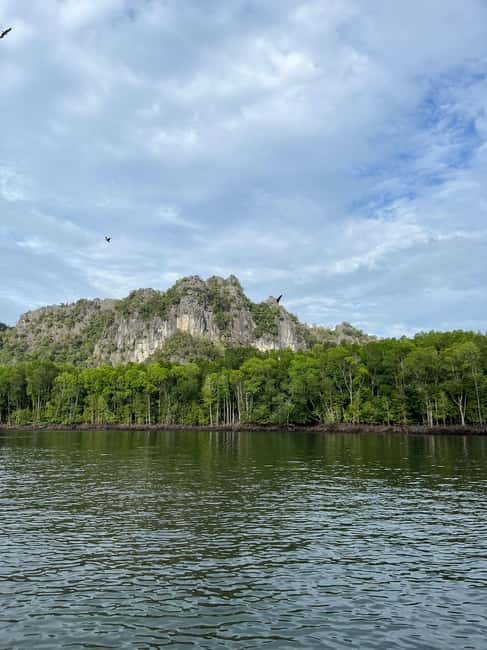 image n.3 of Langkawi: Half-Day Private Kilim River Mangrove Boat Tour activity in Kuah, uploaded by supplier