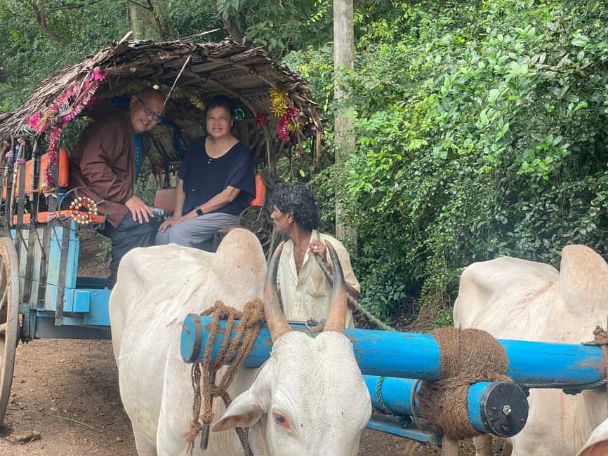 image n.33 of From Colombo: Sigiriya and Dambulla Day Trip and Safari activity in Sigiriya, uploaded by supplier