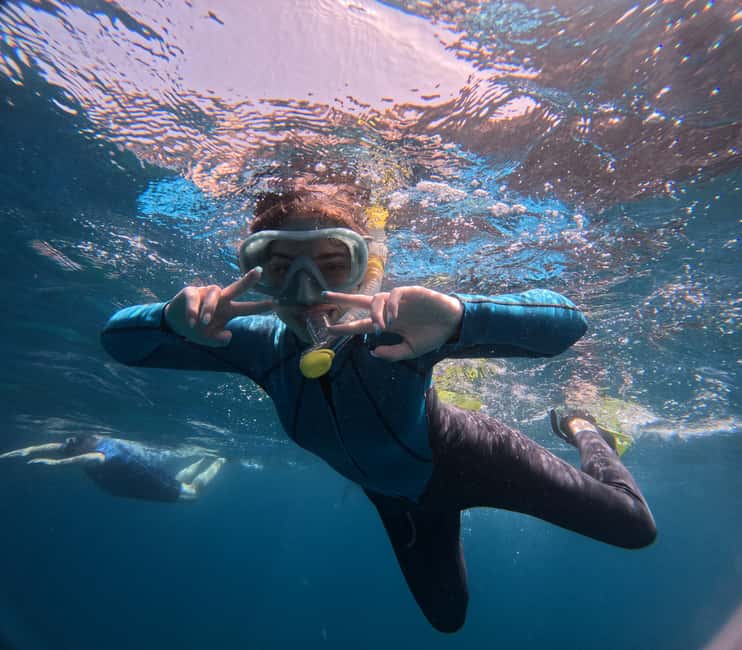 Obraz nr 6 z atrakcji Teneryfa: wycieczka snorkelingowa w siedlisku żółwi w Adeje, przesłany przez organizatora