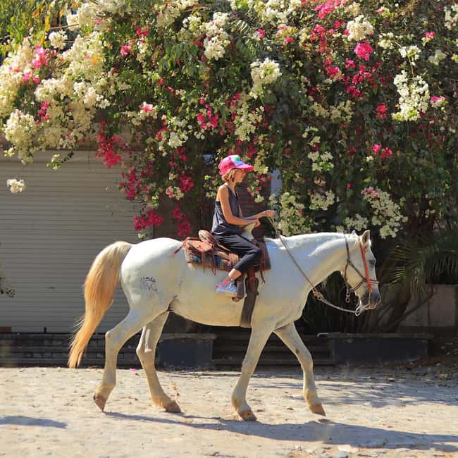 image n.1 of Sayulita: Horseback Riding Tour activity in Sayulita, uploaded by supplier