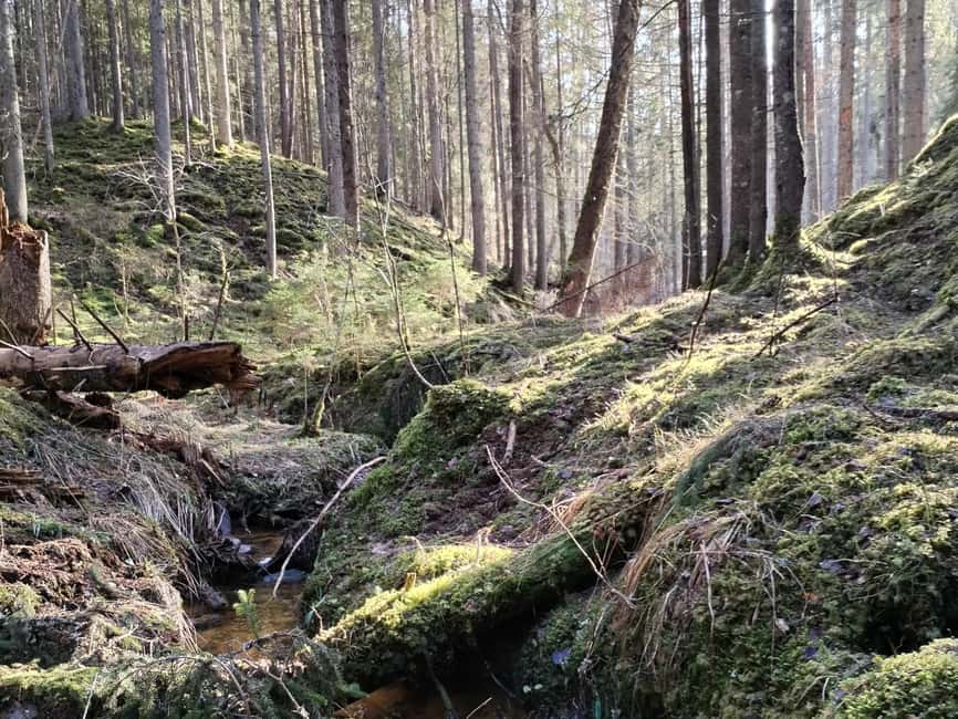 image n.6 of From Riga: Ligatne Village and Gauja River National Park … activity in Līgatne, uploaded by supplier