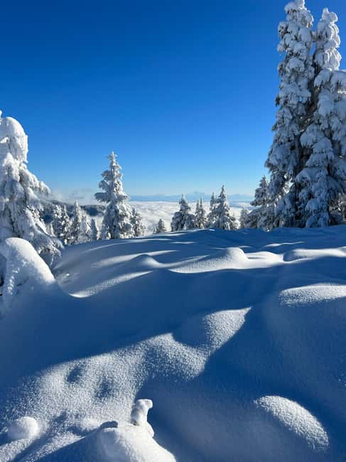 image n.7 of Vancouver: North Shore Mountains Snowshoeing with Transfer activity in West Vancouver, uploaded by supplier