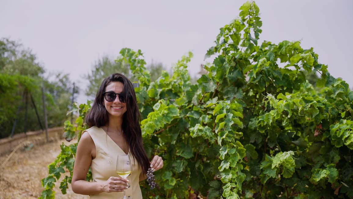 imagen n.º 4 de Málaga: Visita a viñedos y bodegas con 6 vinos de primera y tapas actividad en Málaga, subida por el proveedor