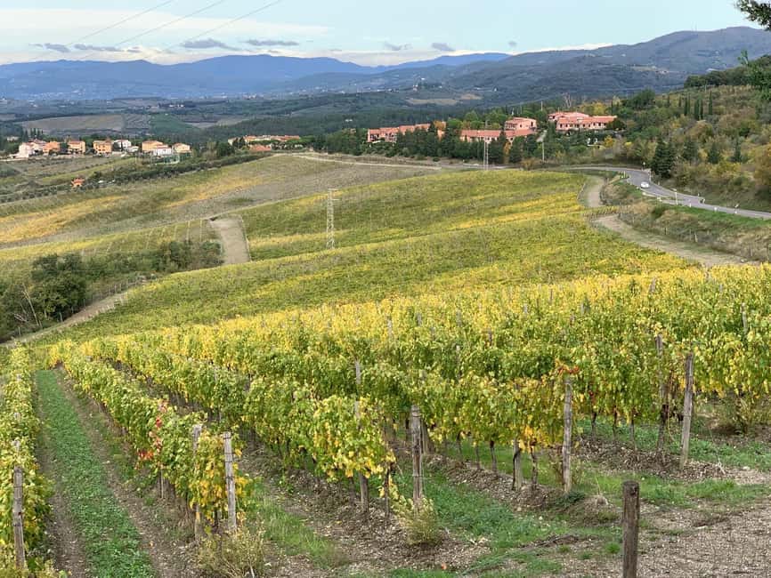 imagem n.12 de Toscana: Siena, San Gimignano e Chianti Wine Tour atividade em San Gimignano, carregada pelo fornecedor