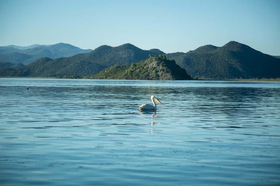 image n.12 of Virpazar: Historical & Nature Boat Adventure on Lake Skadar activity in Podgorica, uploaded by supplier