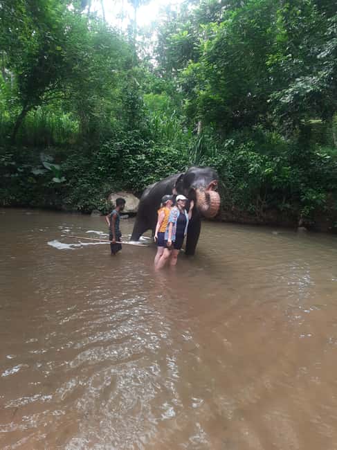 image n.178 of From Negombo : Pinnawala & Tea Factory & Kandy Full Day Trip activity in Kandy, uploaded by supplier