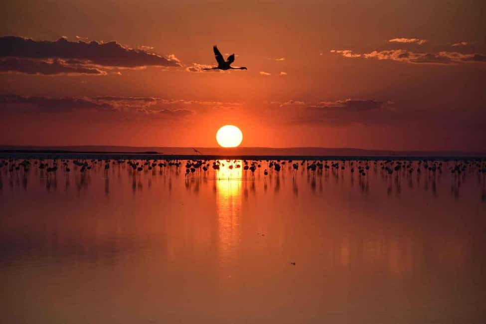 imagem n.9 de Capadócia: excursão incrível ao pôr do sol no Lago Salgado atividade em Turquia, carregada pelo fornecedor