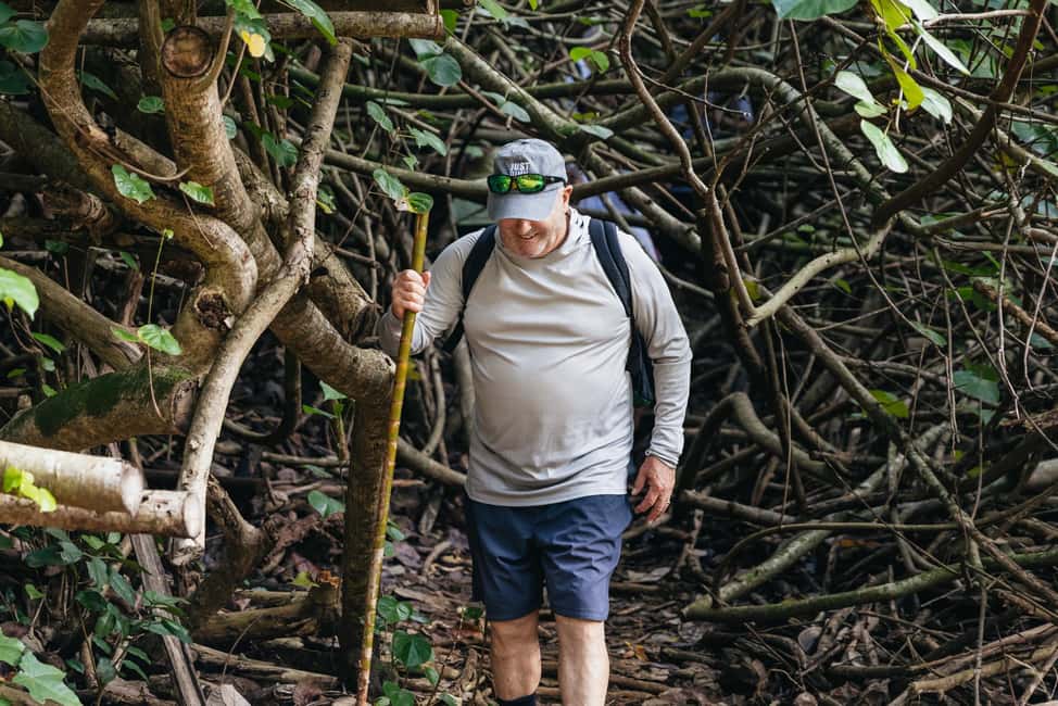 image n.16 of Maui: Rainforest Waterfalls Guided Hike with Picnic Lunch activity in Haiku, Hawaii, uploaded by supplier
