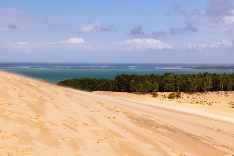 image n.5 of From Bordeaux: Arcachon Bay Full Day Tour and Oyster Lunch activity in Arcachon, uploaded by supplier