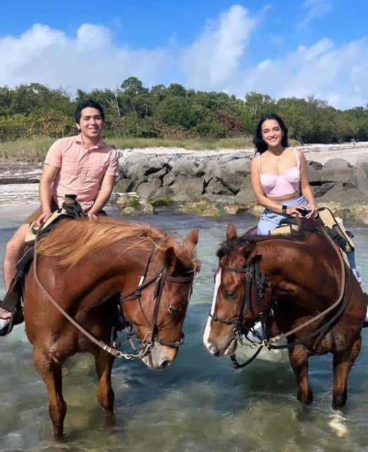 bild nr.7 av Miami: Ridning och naturstig på stranden aktivitet i Miami, uppladdad av arrangören