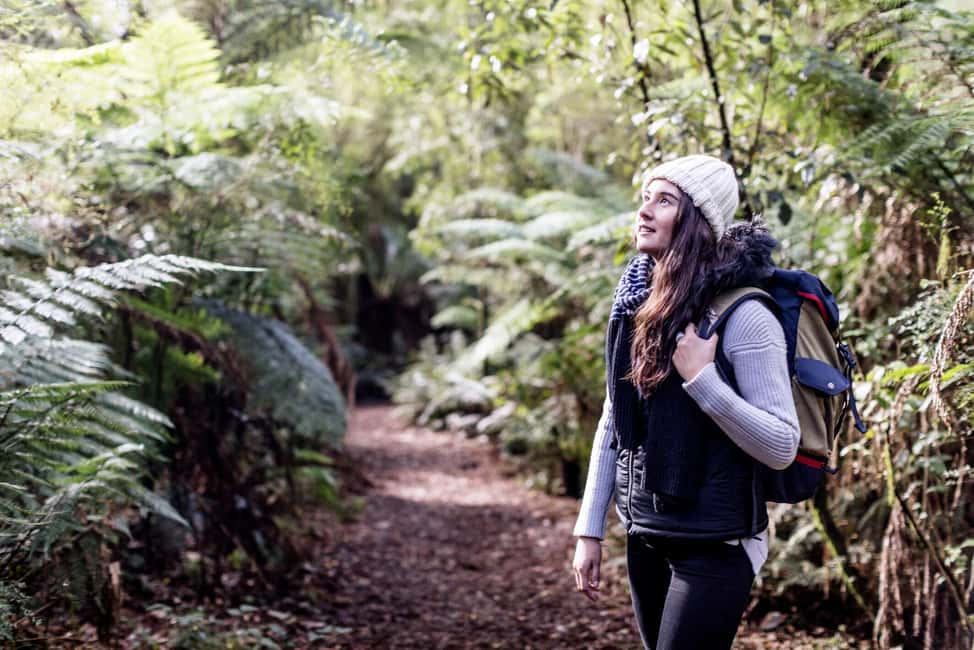 imagem n.8 de Melbourne: Great Ocean Road, 12 Apóstolos e excursão à floresta tropical atividade em Melbourne, carregada pelo fornecedor