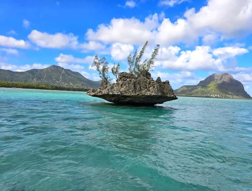 image n.2 of Black River: Swim with Dolphin Speed Boat Tour with lunch activity in Mauritius, uploaded by supplier